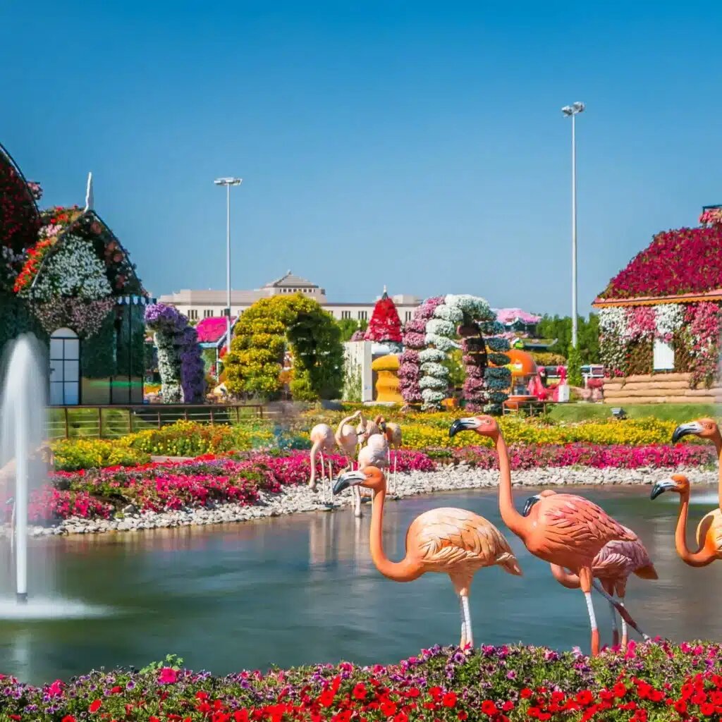 Tour operator Seven Tours, Dubai, photo