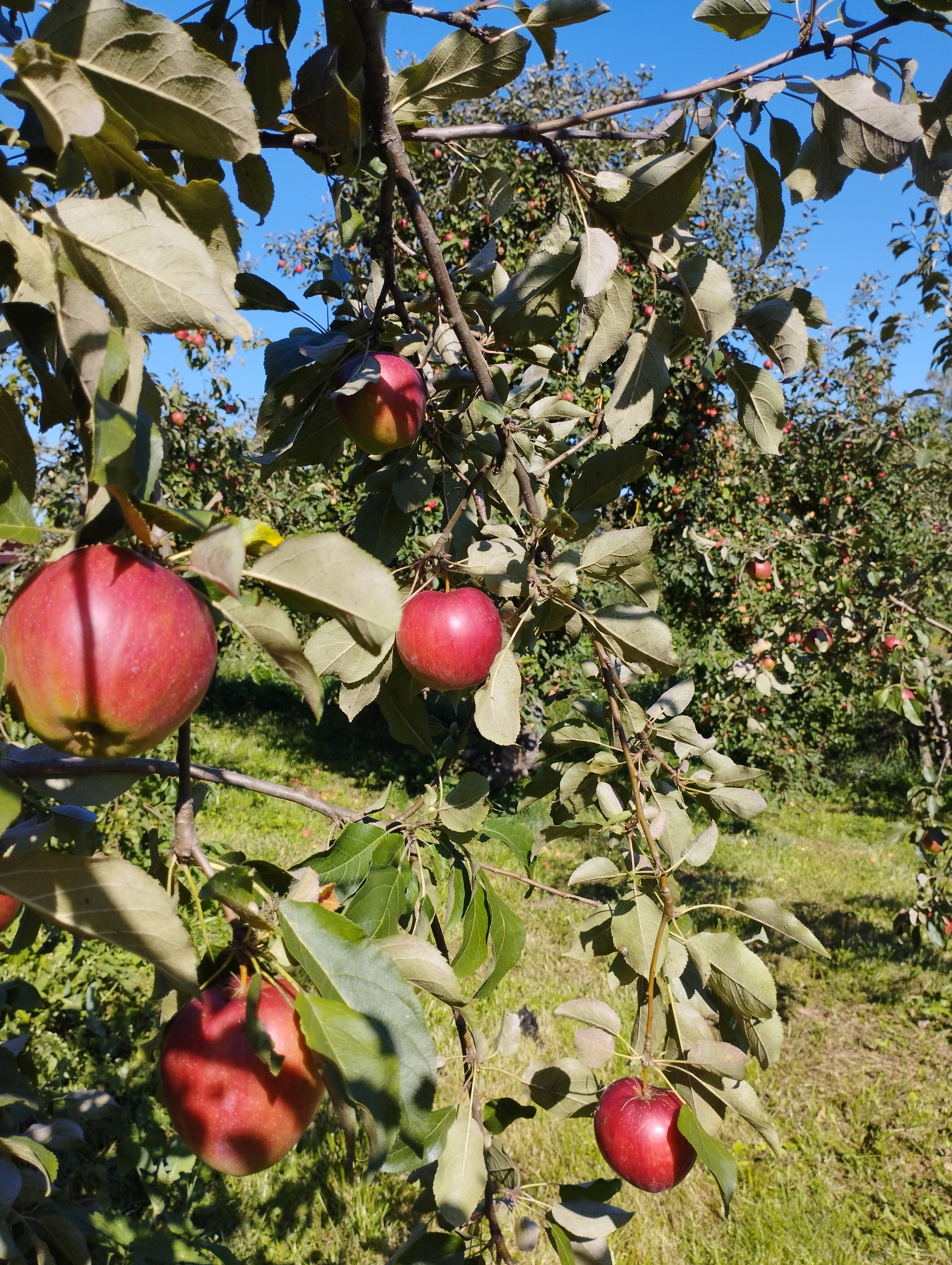 Фото Усадьба Заеца