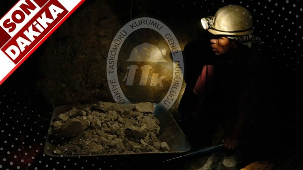 Attorney Avukat Burhan Temel Cinar, Zonguldak, photo