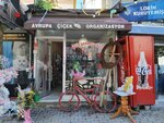 Gazi Çiçek Evi (İstanbul, Sultangazi, 75. Yıl Mah., İstiklal Cad., 6C), flower shop