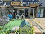 Dutluk Fashion Pet Shop (Ankara Province, Kecioren District, Senlik Neighborhood, Martyr Tolga Akdas Street, 46/1E) ، حوض السمك
