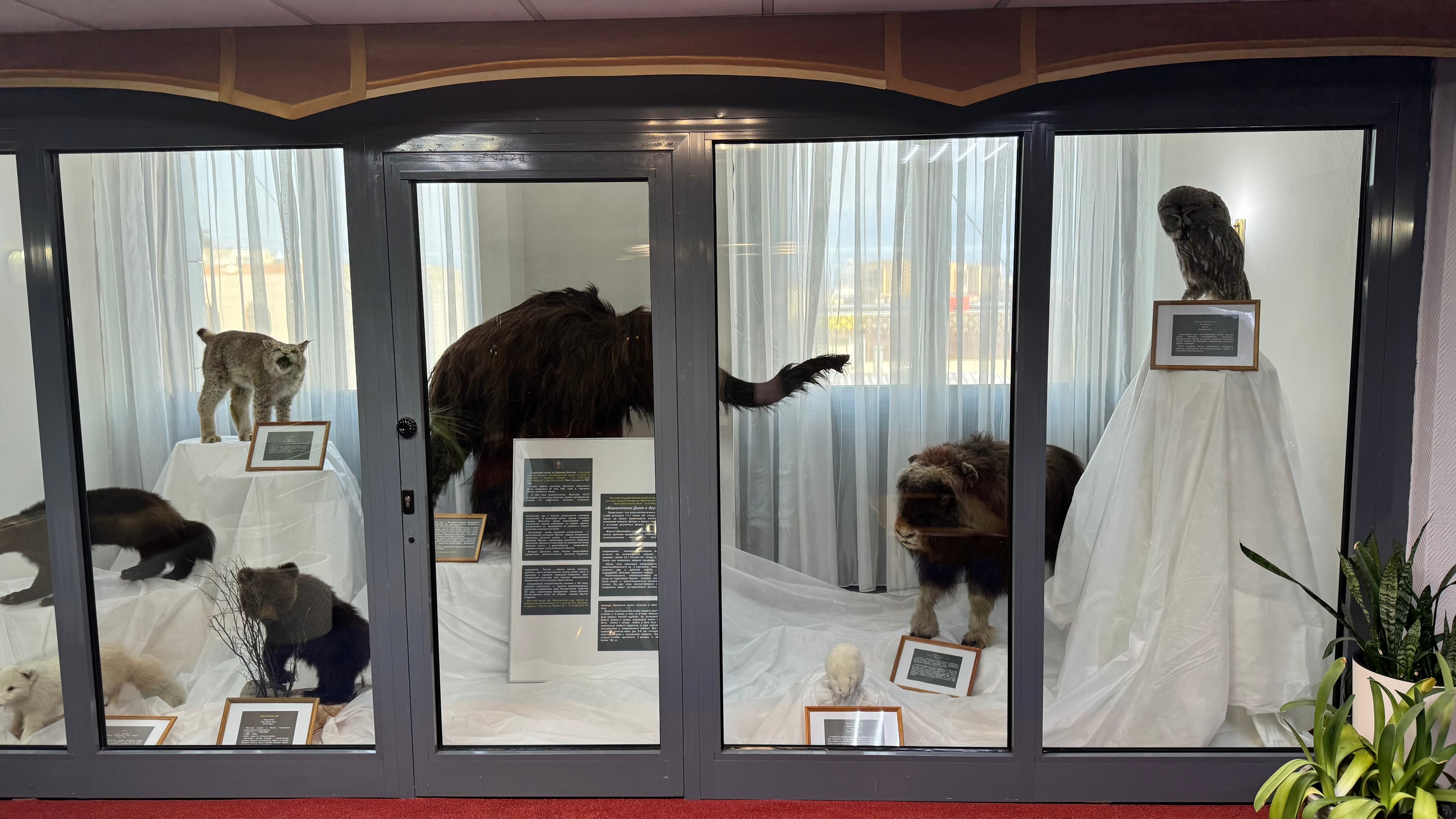 Фото Тыгын Дархан