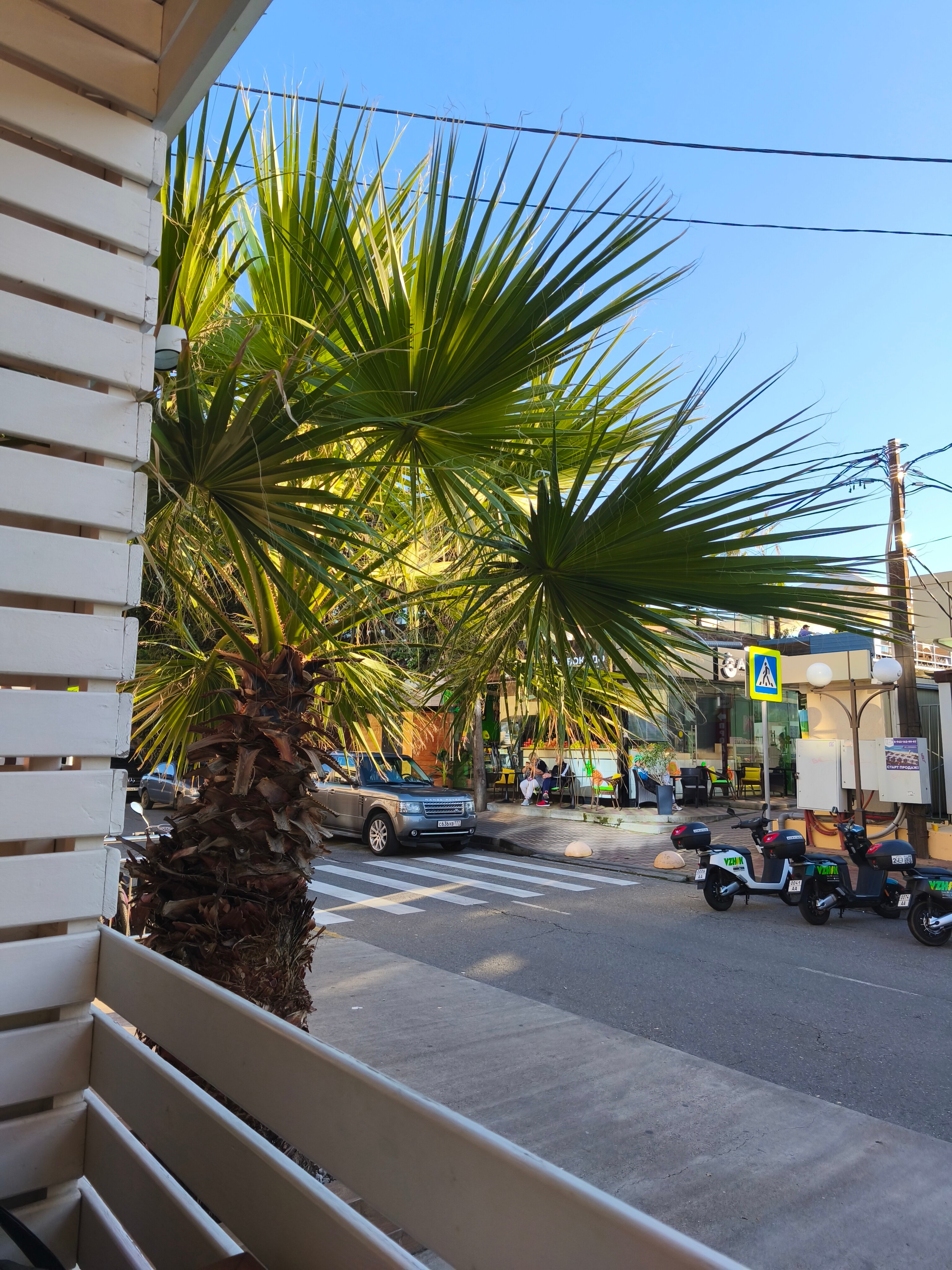 Фото Анна Мария