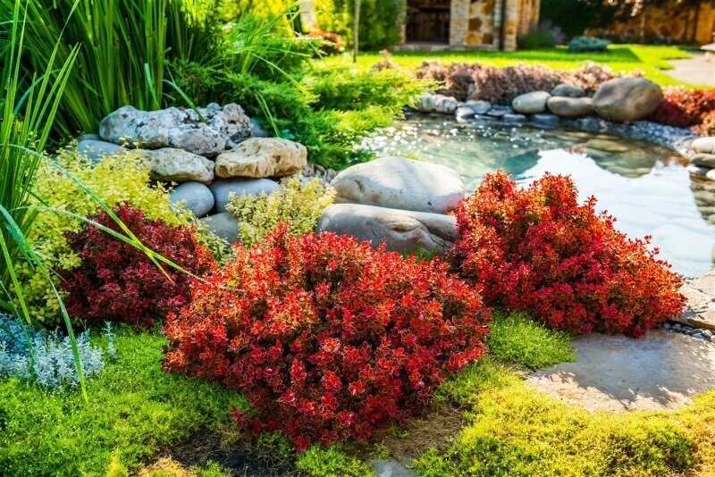 Management company Island Garden, Serdivan, photo