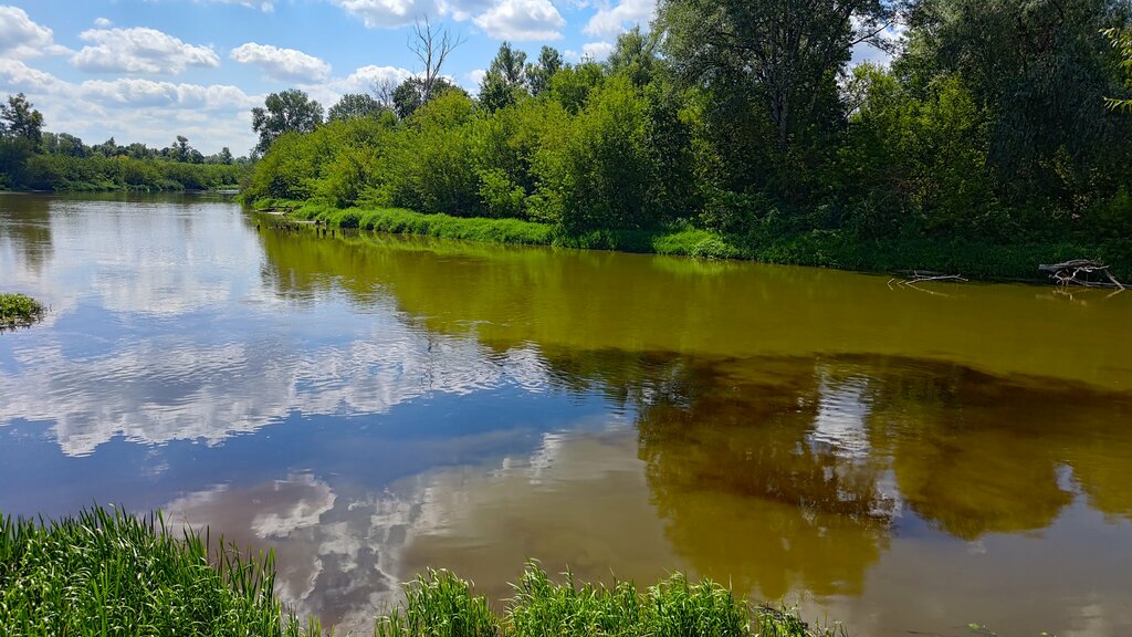 Memorial site, local landmark Confluence of two rivers Mukhavets and Western Bug, Brest, photo
