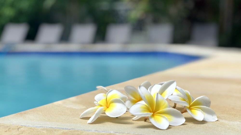 Фото Hi Ho Beach Apartments