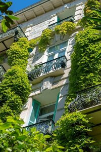 Гостиница Windsor Hotel