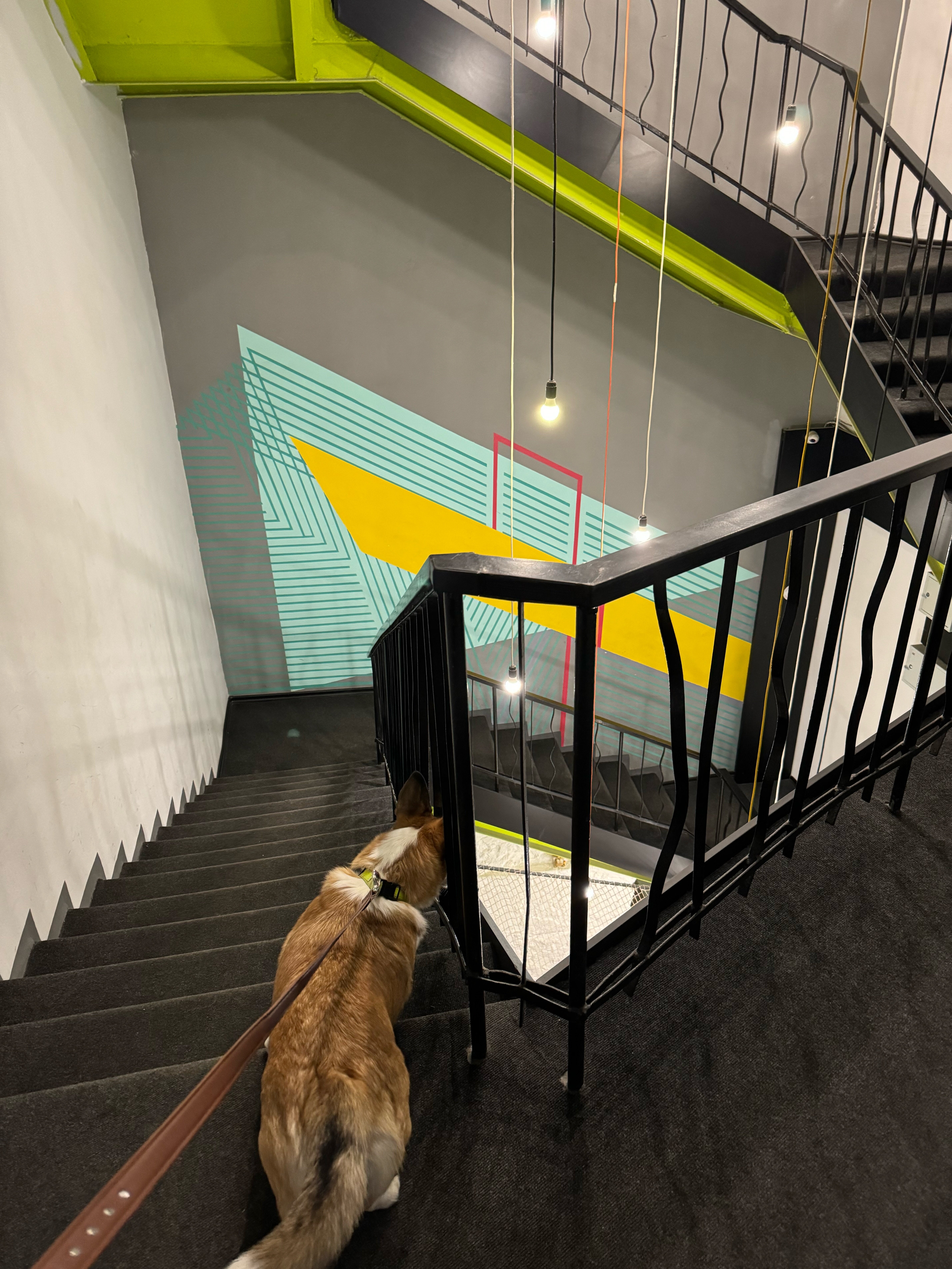 Фото Манго на Казанской