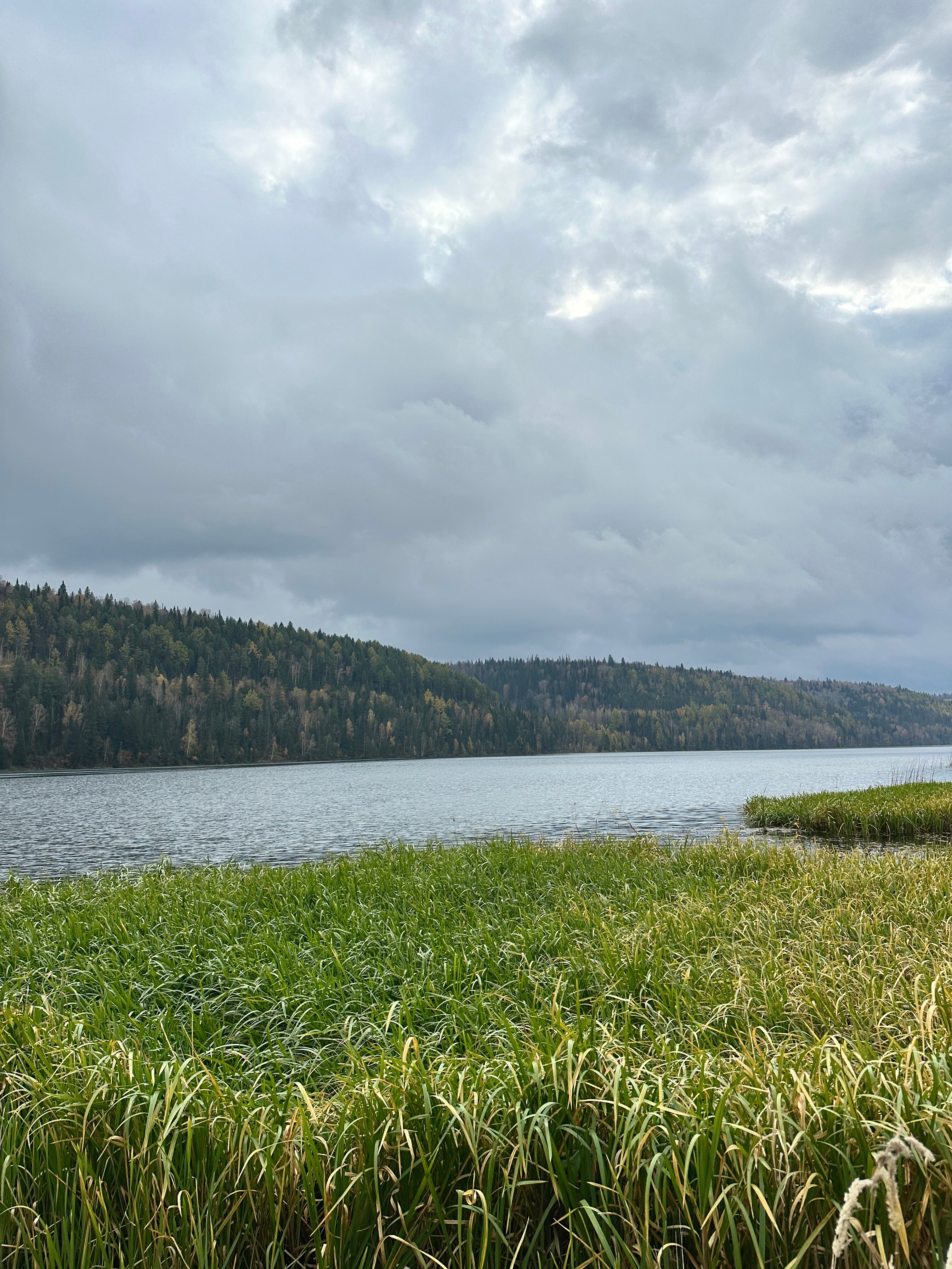 Фото Прилесье