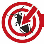 شعار