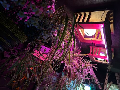 Иное жильё Дом в аренду в Ростове-на-Дону