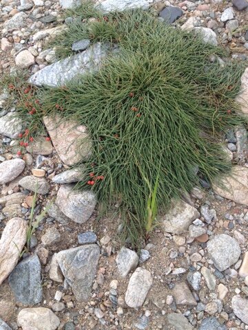 Фото Байкал-Кэмп