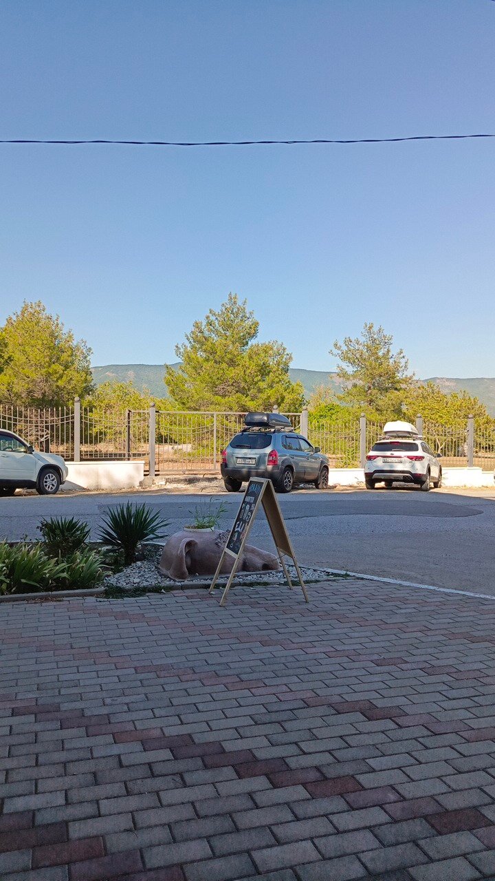 Фото Большая Черепаха