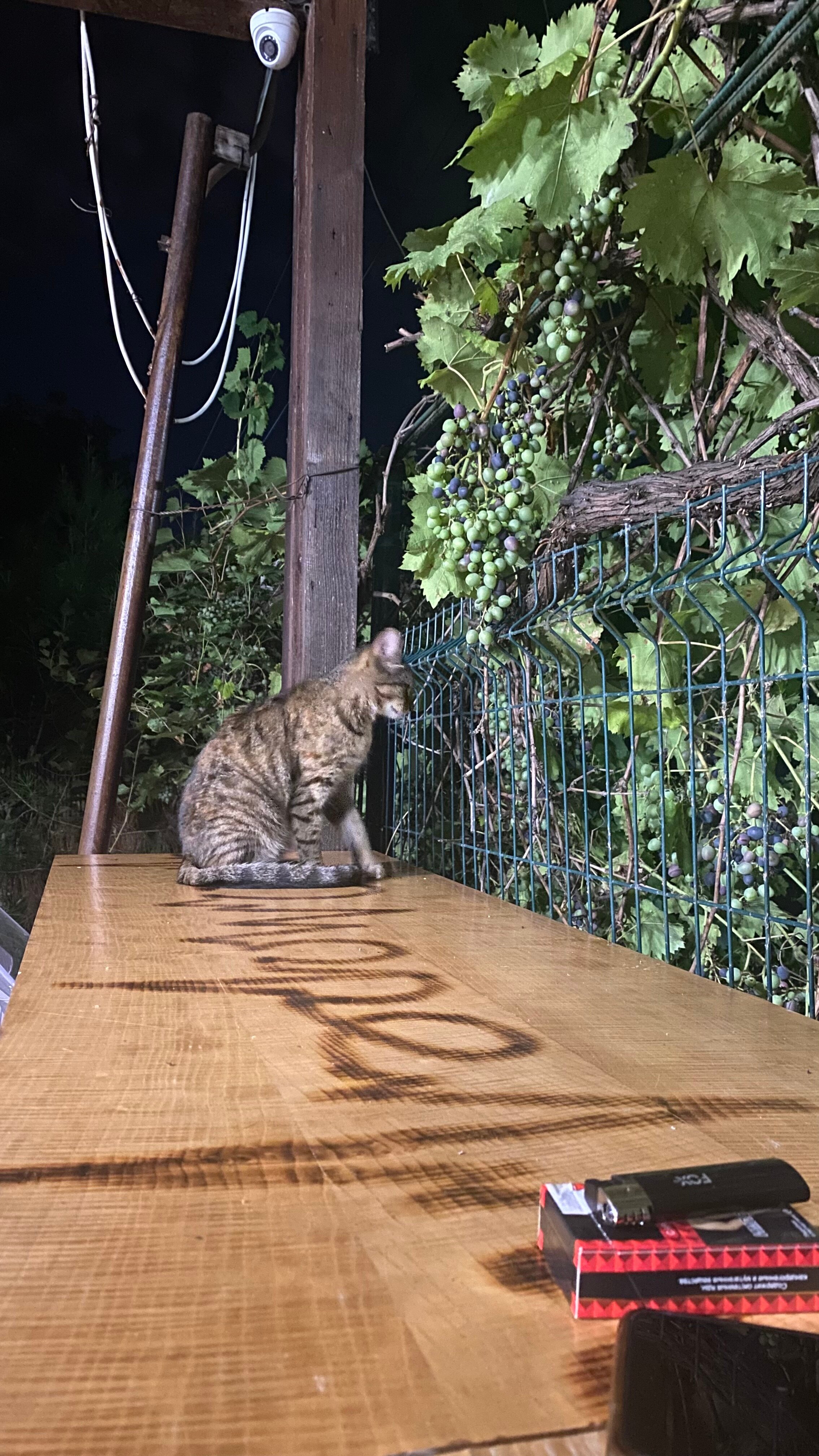 Фото О Море