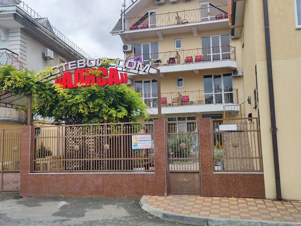 Фото Алиса