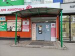 Кот и Ко (Kronshtadtskaya Street, 1), tienda de animales