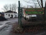 Старый рынок (Torgovaya Side District, Mikhaylova Street, 3к1), hardware market