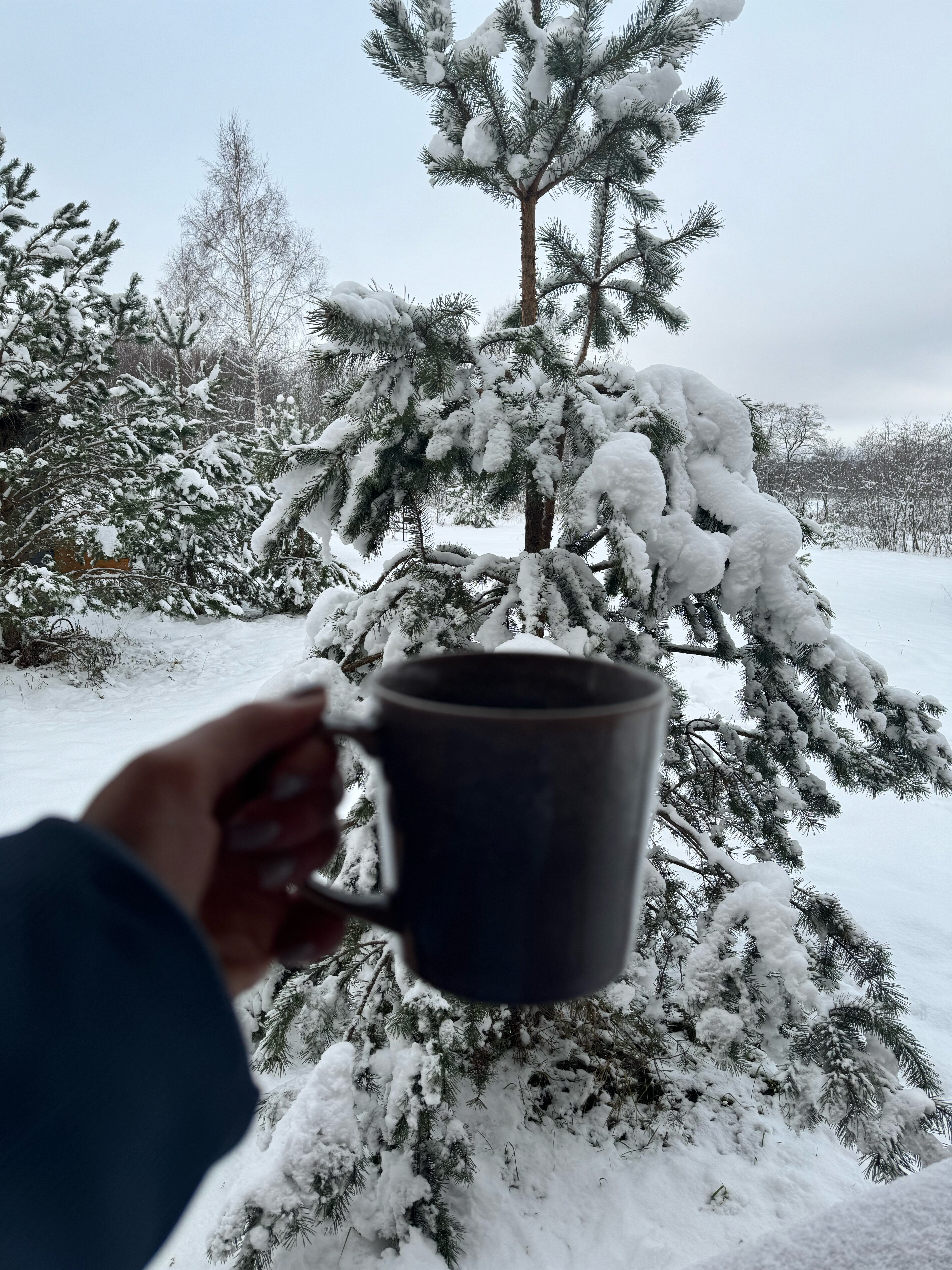 Фото Искона Дача