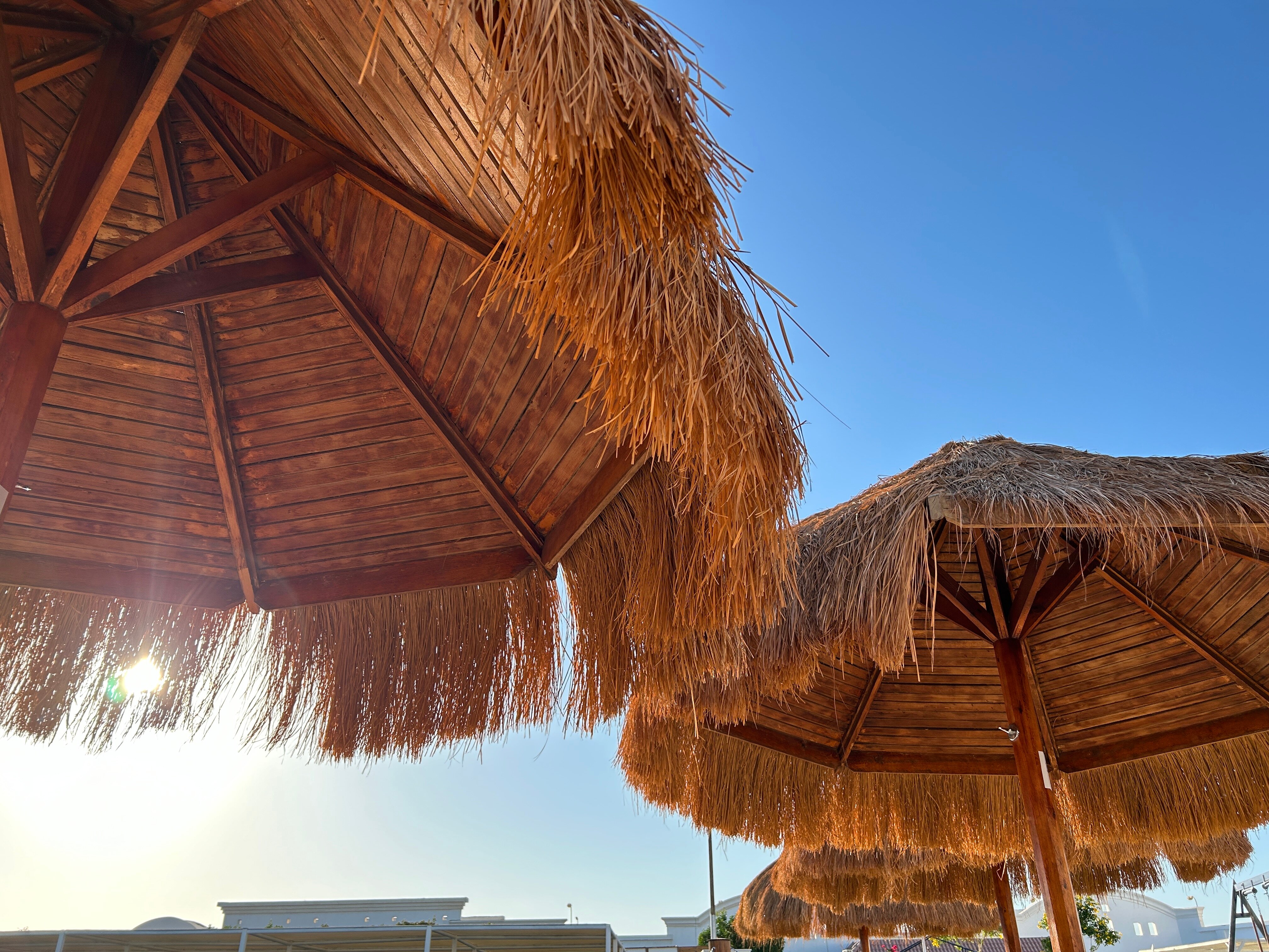 Фото Sunrise Alma Bay Resort