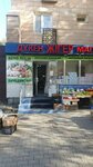 Zhiger (3-shi shaǵyn aýdan, 42), grocery