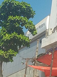 Toyota Eastern Motors ٹویوٹا ایسٹرن موٹرز (Province of Sindh, Karachi East District, Shaheed Major Adeel Shahid Bridge), car service, auto repair