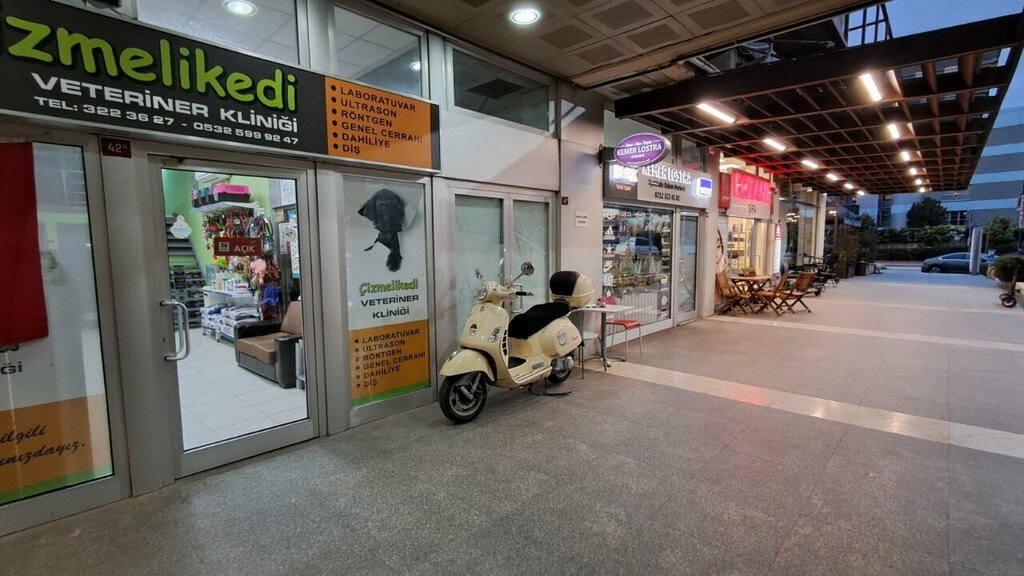 Veterinary clinic Cizmeli Kedi Veteriner Klinigi, Istanbul, photo