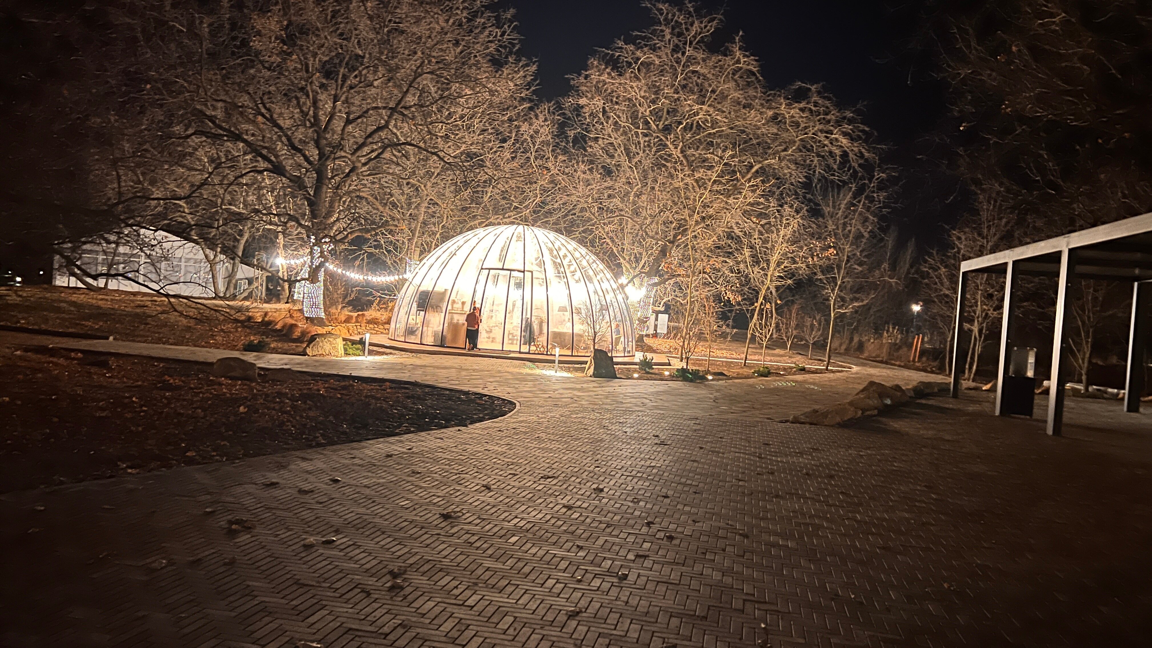 Фото Дубровский