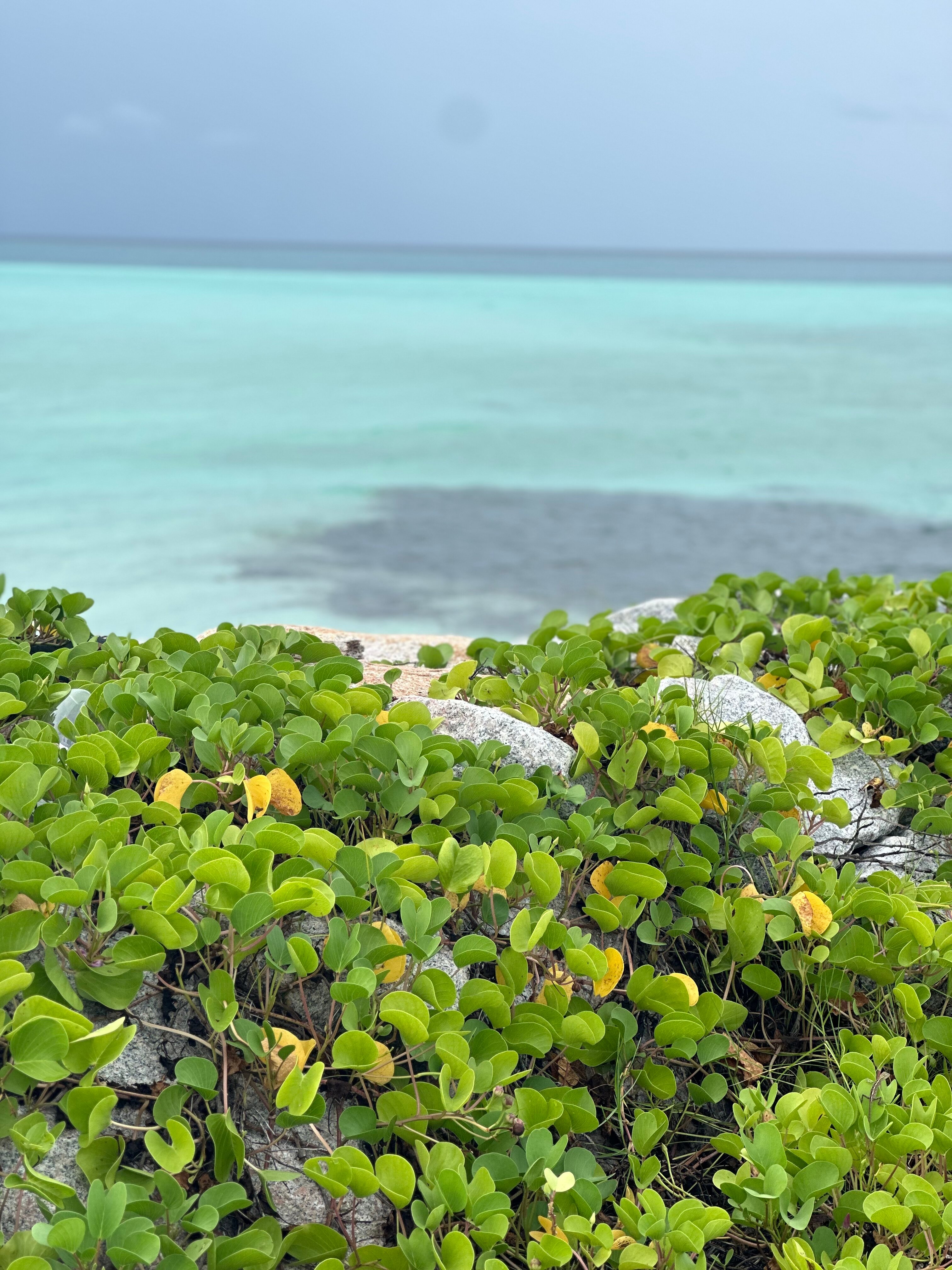 Фото Season Paradise