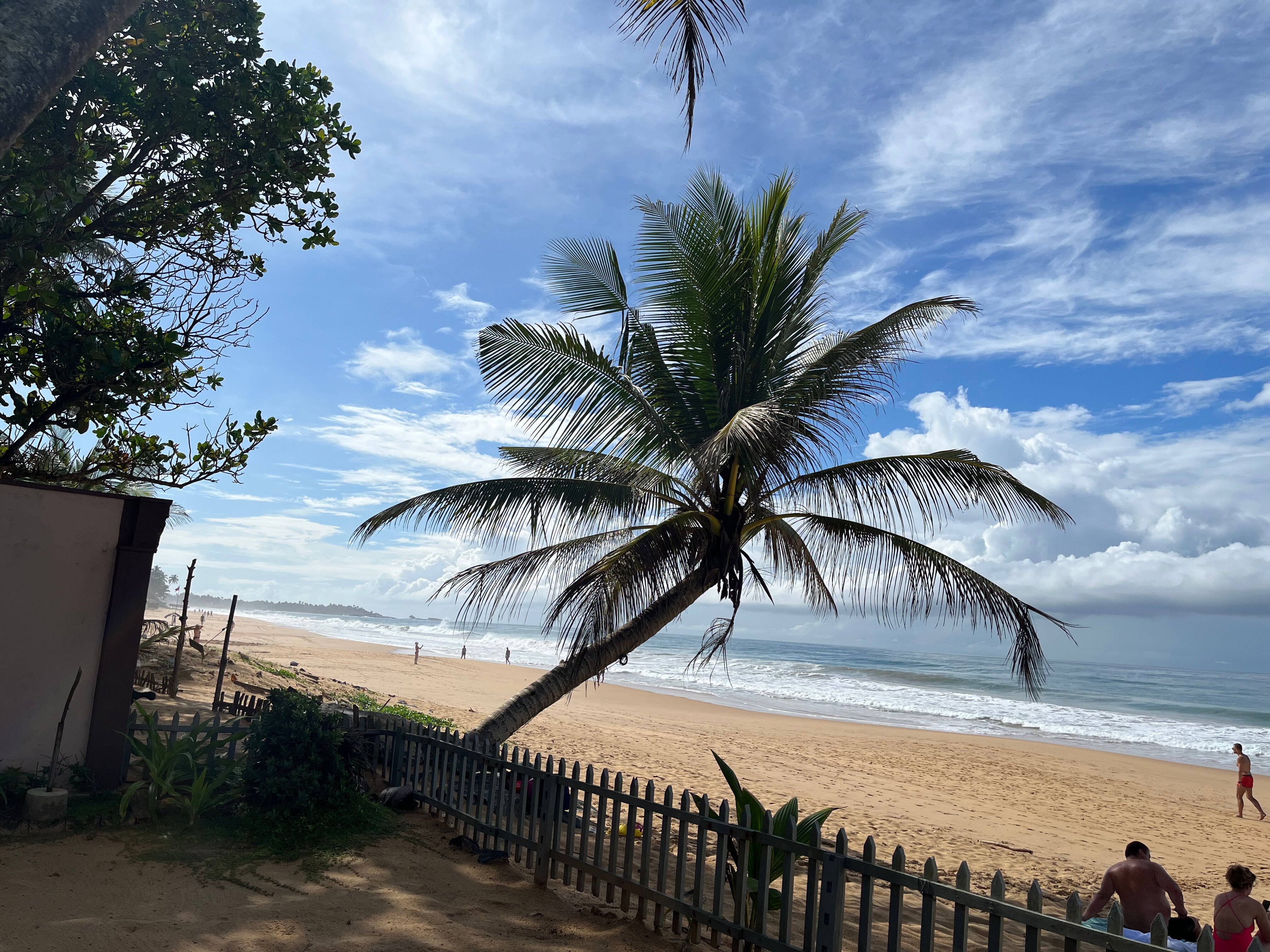 Фото Ocean View Cottage