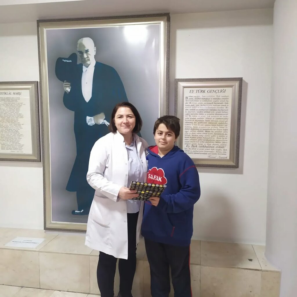 Private school Ada Safak College, Adapazari, photo