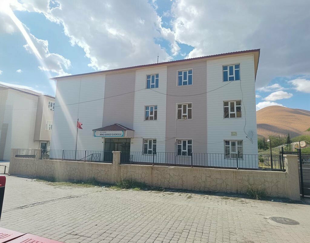 Primary school Mng Cargo Primary School, Bitlis, photo