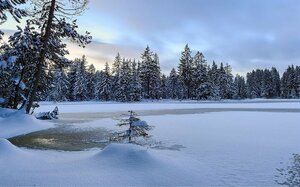 Турбаза Загородный клуб Озера в Липецкой области