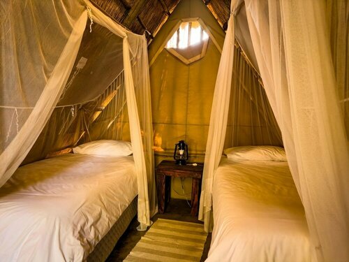 Гостиница Victoria Falls Backpackers в Виктория-Фолс