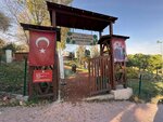 Avcilar Municipality Animal Shelter (İstanbul, Avcılar, Gümüşpala Mah., İskece Cad., 1A), urban forest
