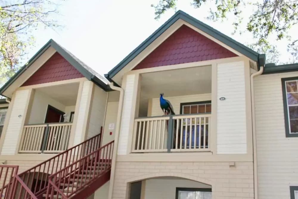 Фото The Tropical Oaks Villa - Near Disney