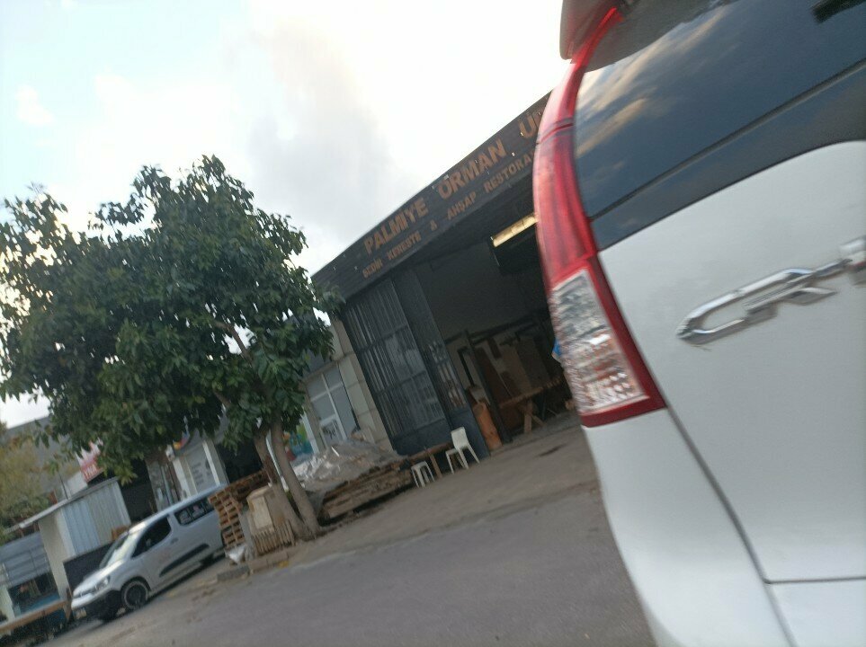 Lumber Palm Forest Products, Antalya, photo