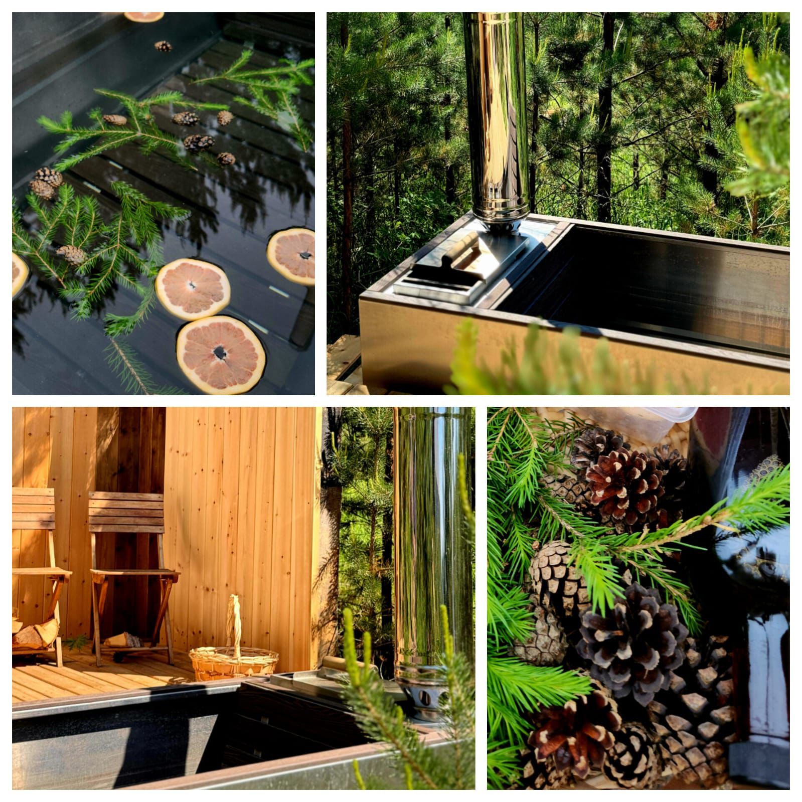 Фото Sheshko Mana