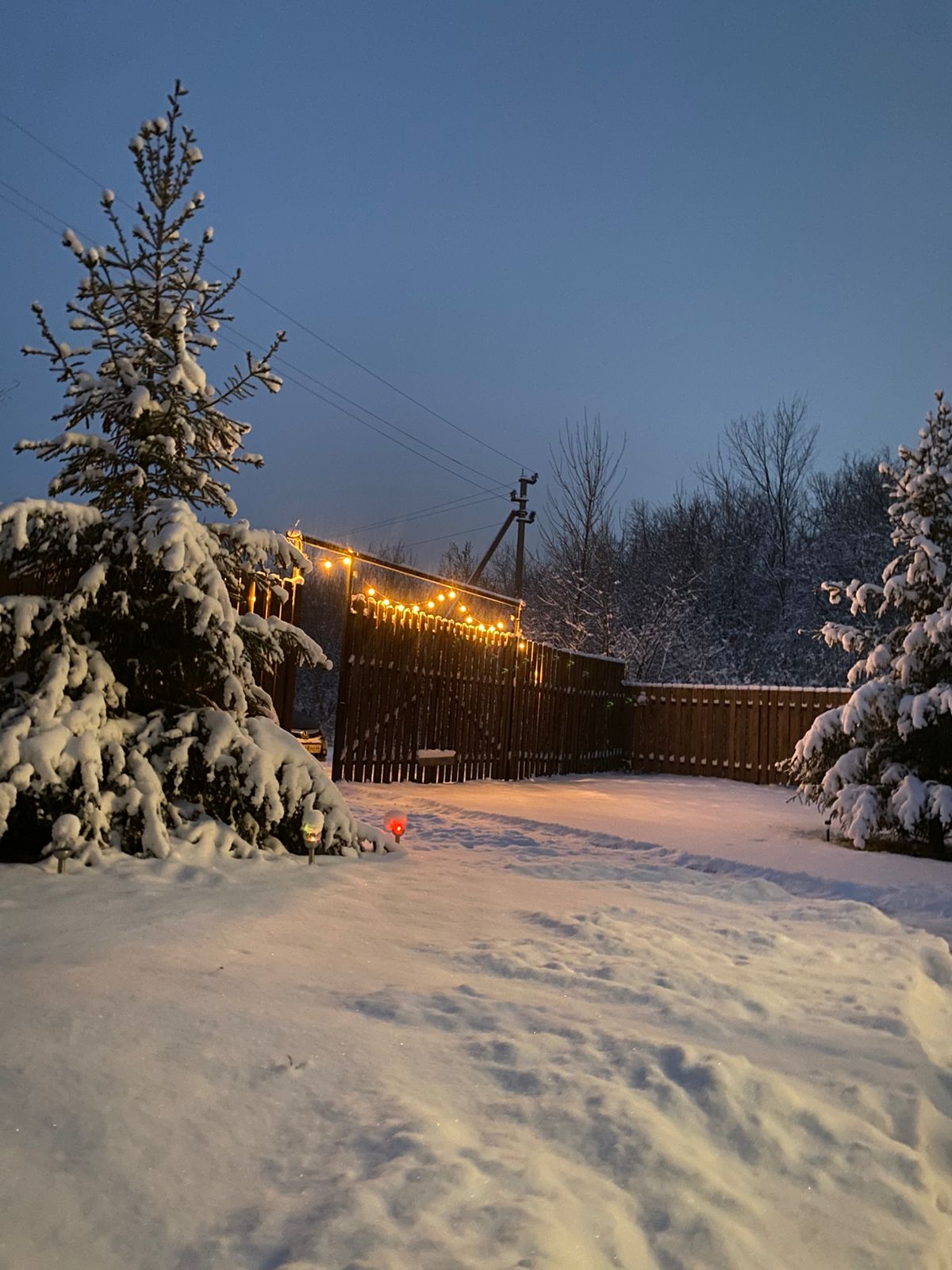 Фото Нарния