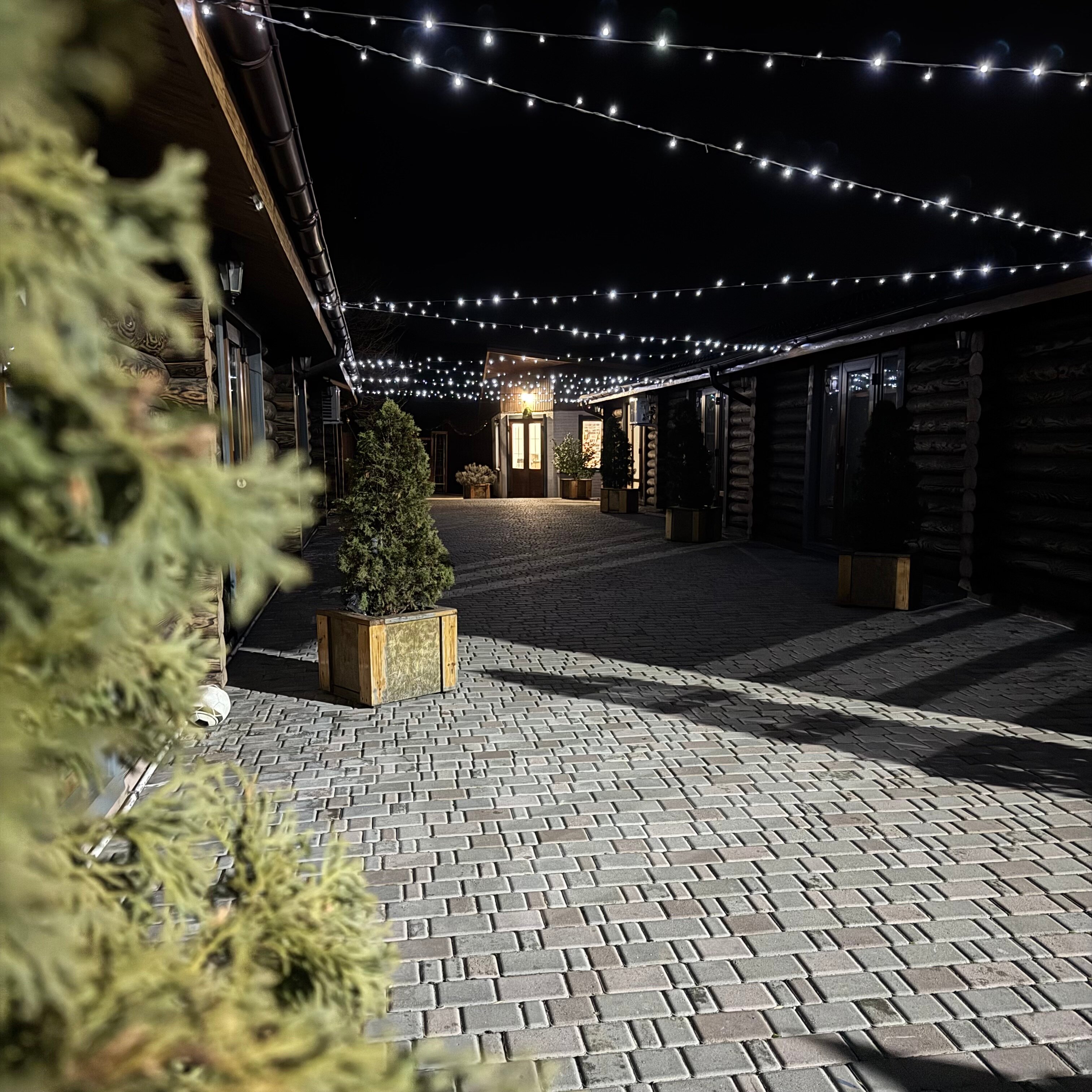 Фото Золотой дуб