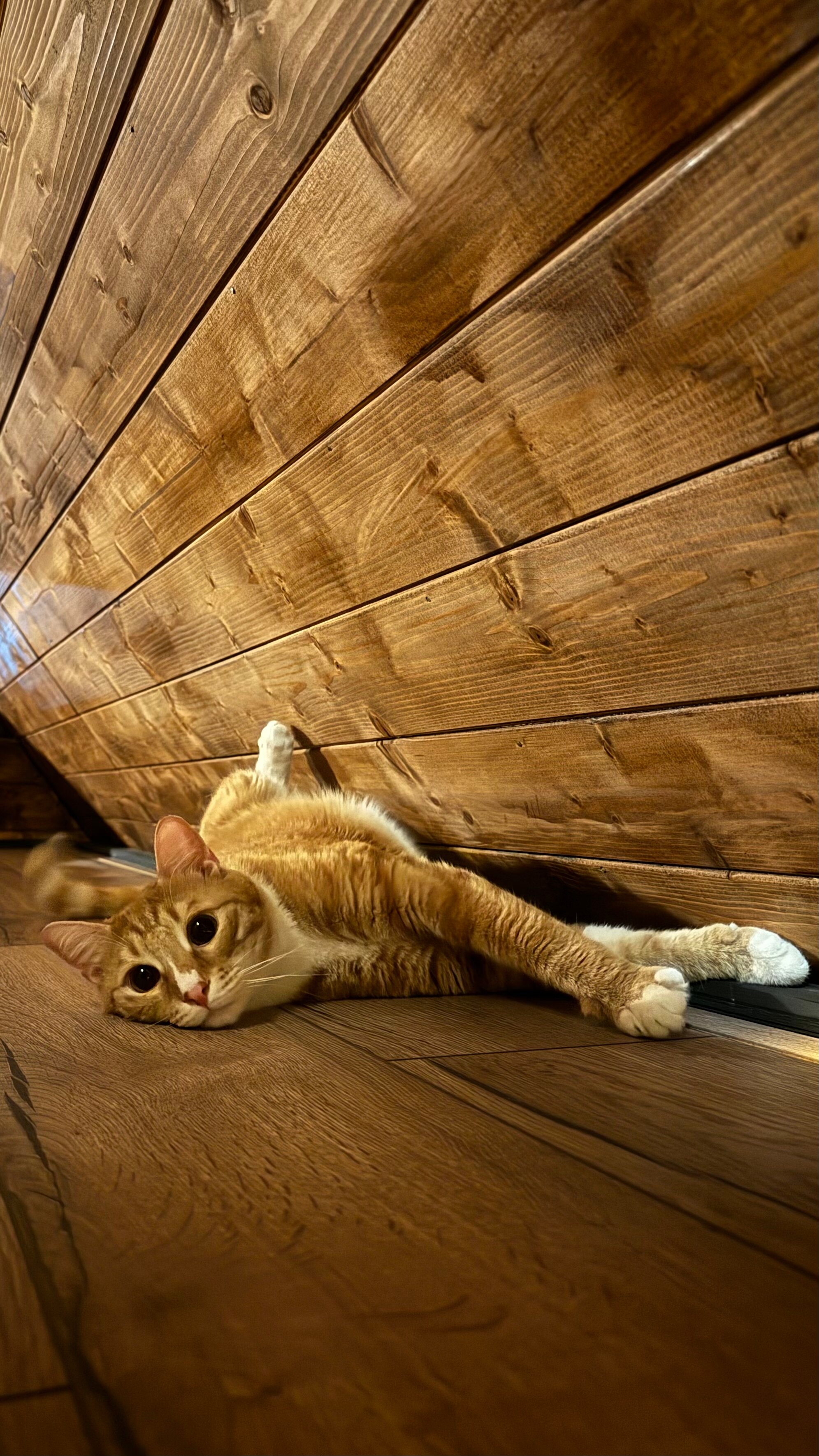 Фото Дом у реки