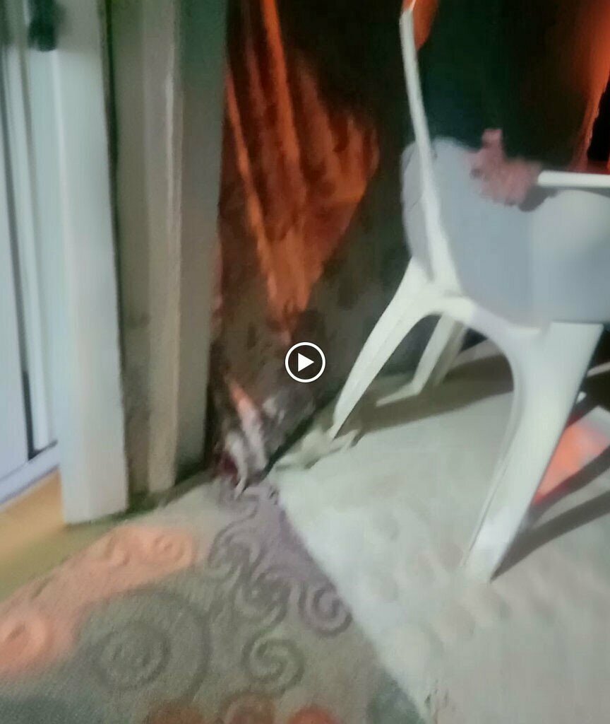 Bakery Cennet Börek, Izmit, photo