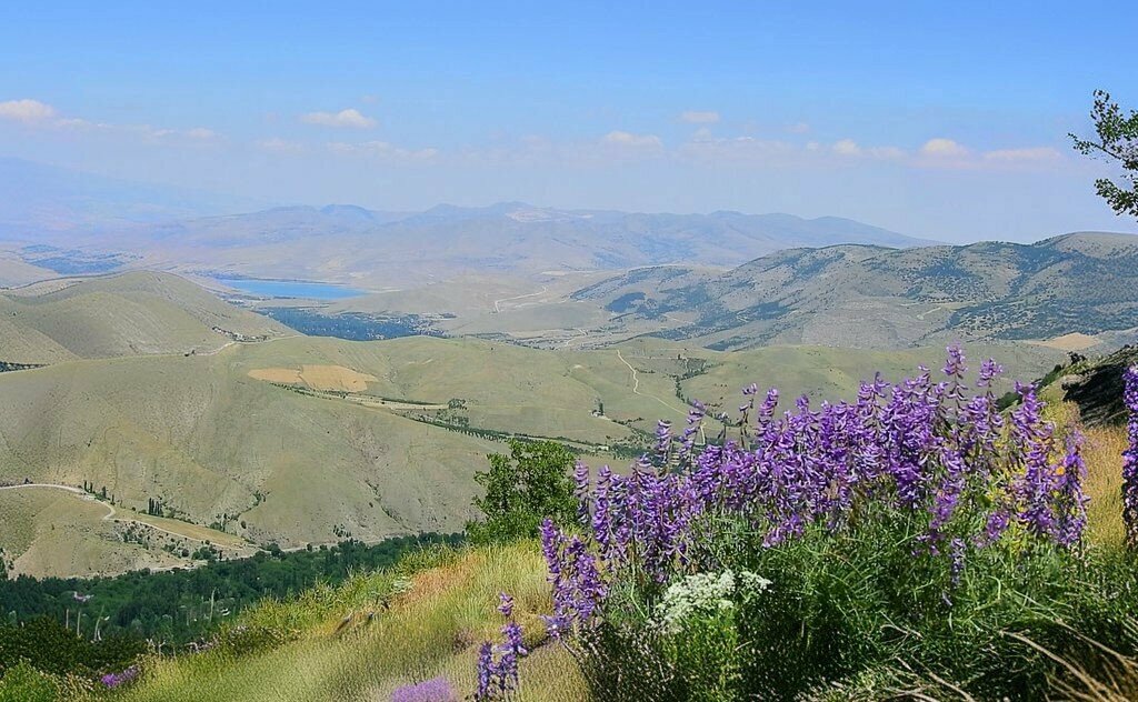 Primary school Derebag Town Primary School, Yahyali, photo