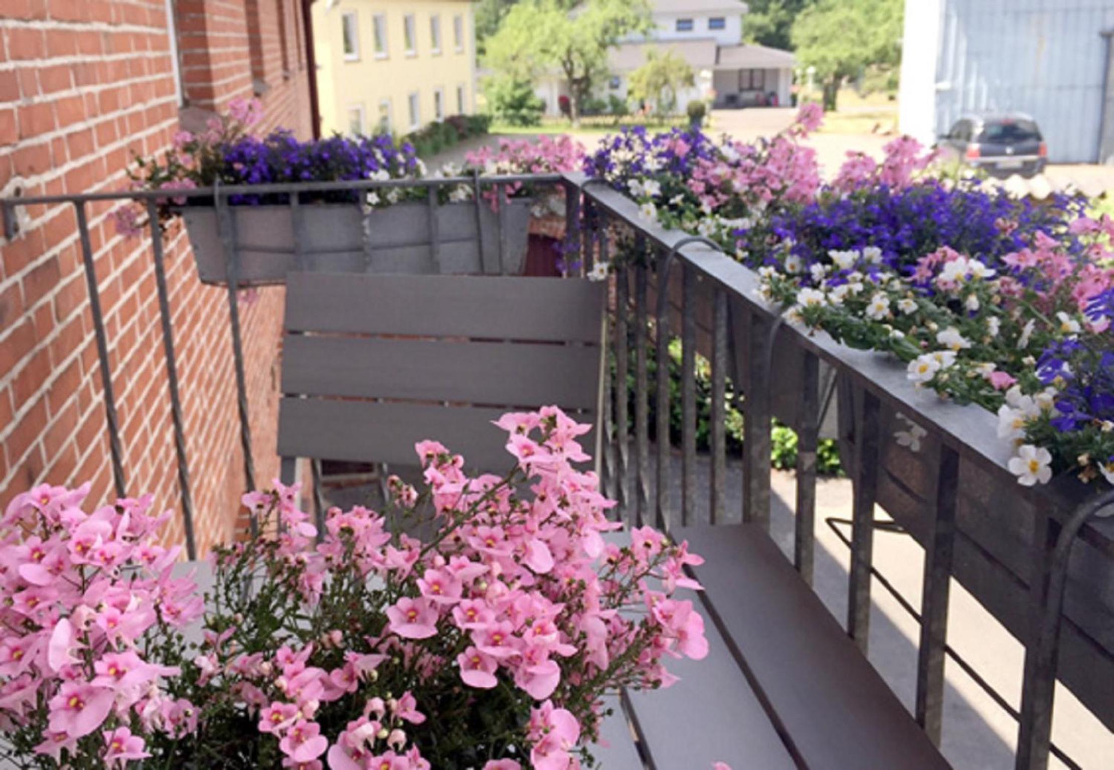 Фото Hotel Kühl