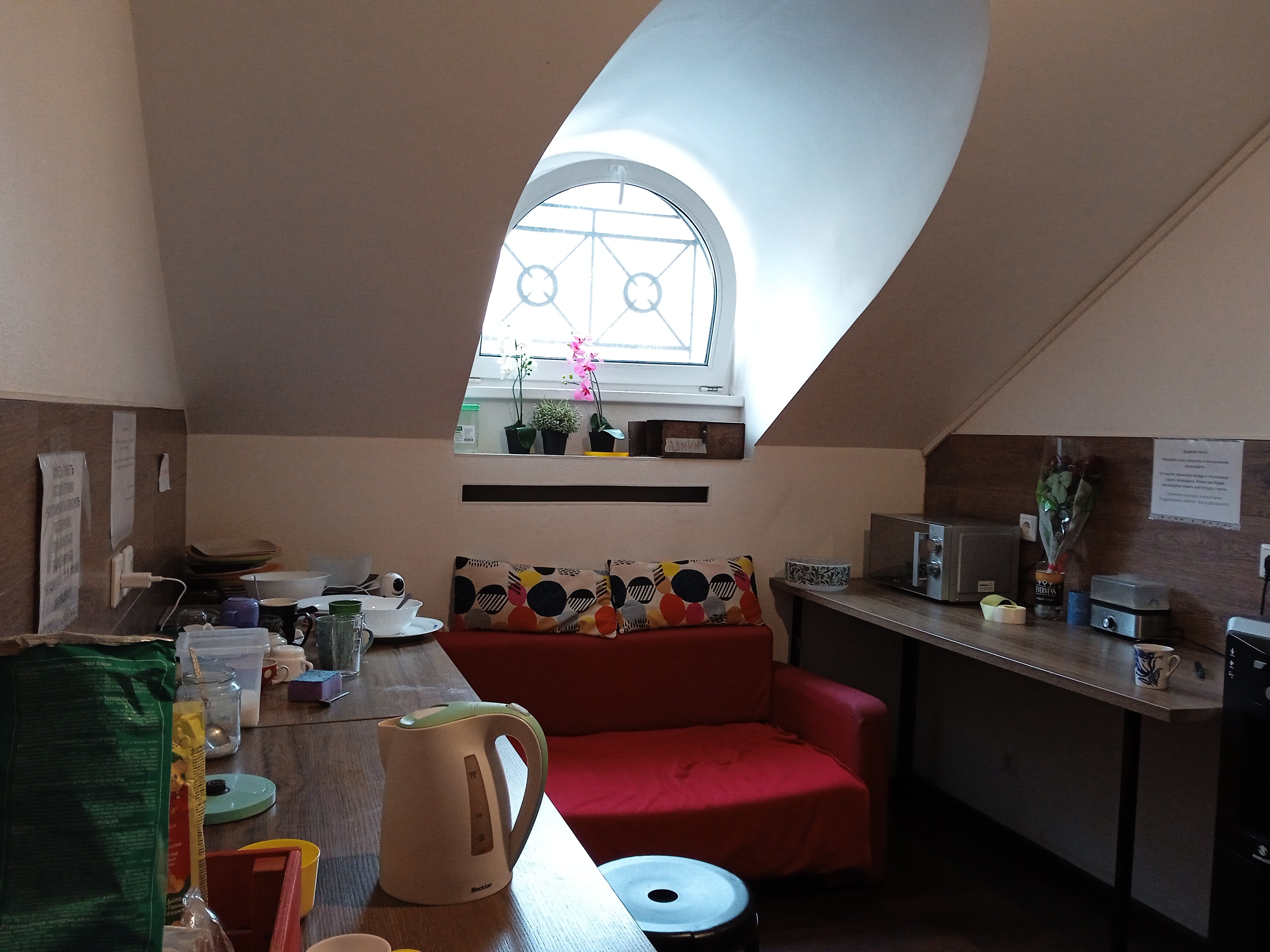 Фото Петя и Волк