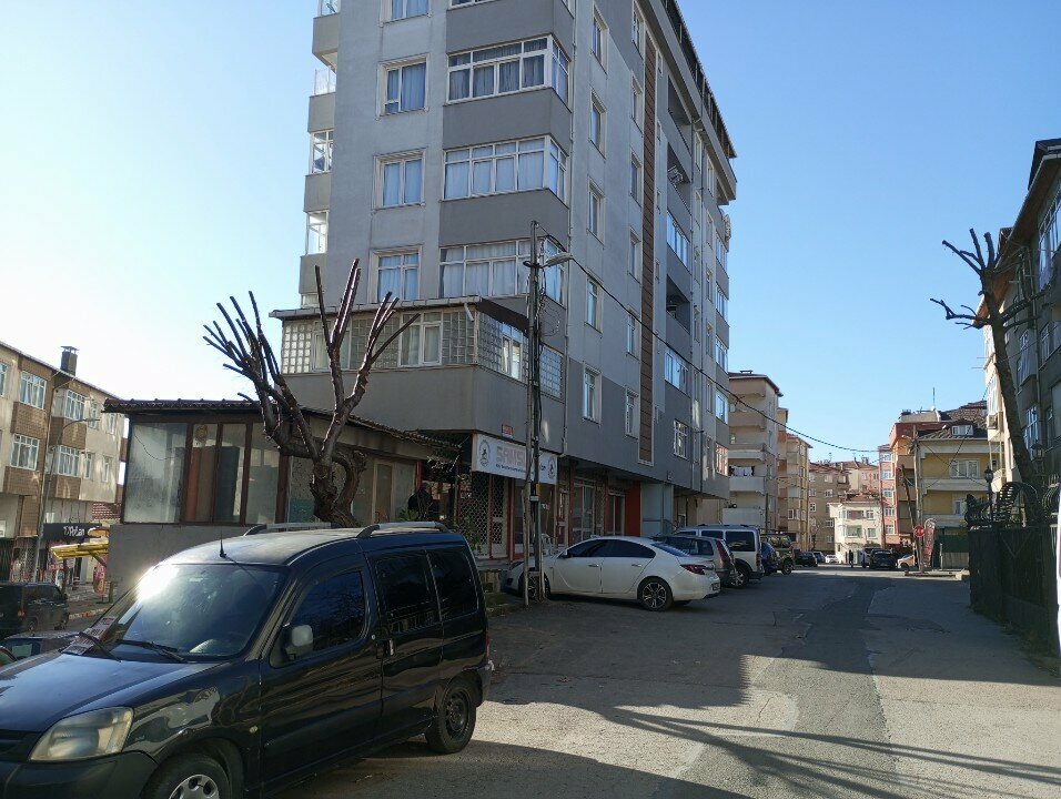 Associations and industrial unions Samsunlular, Istanbul, photo