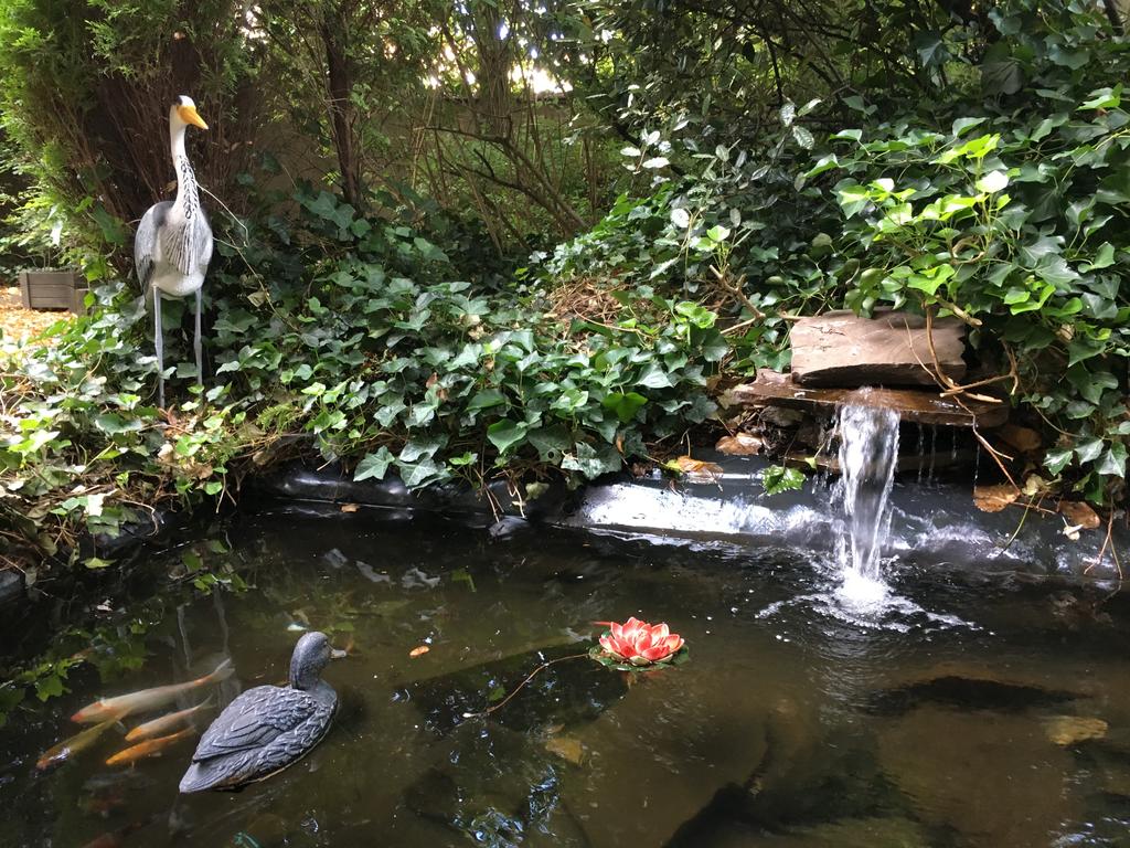 Фото First Euroflat Hotel