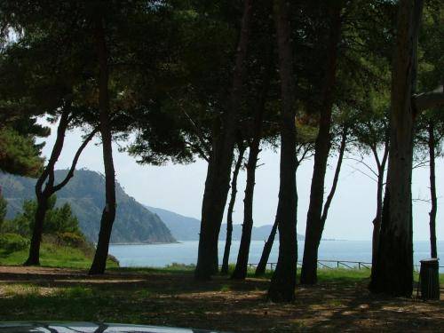 Фото Sulle Onde Della Collina