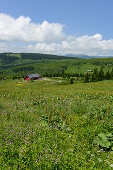 Фото Penzion Andula