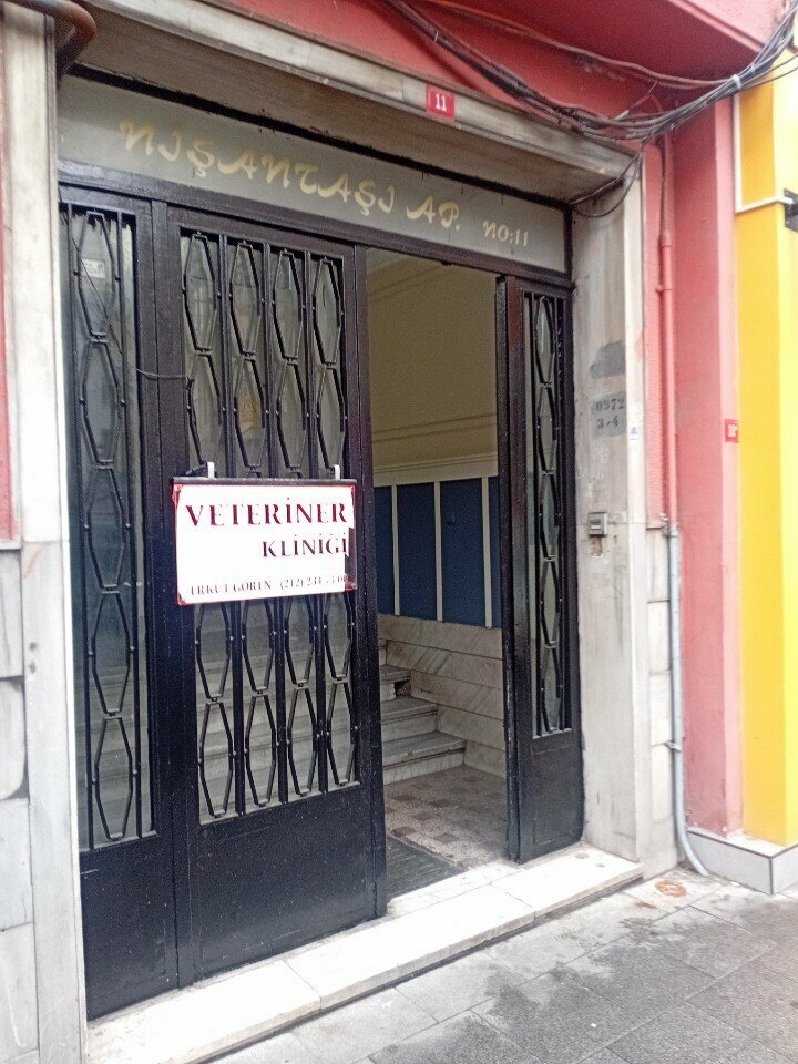 Veterinary clinic Nisantasi Petmania Veterinary Clinic, Istanbul, photo