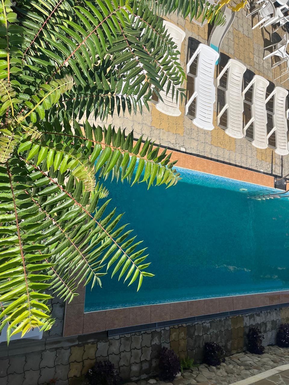 Фото Атриум